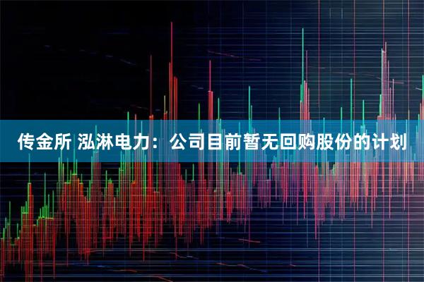 传金所 泓淋电力：公司目前暂无回购股份的计划